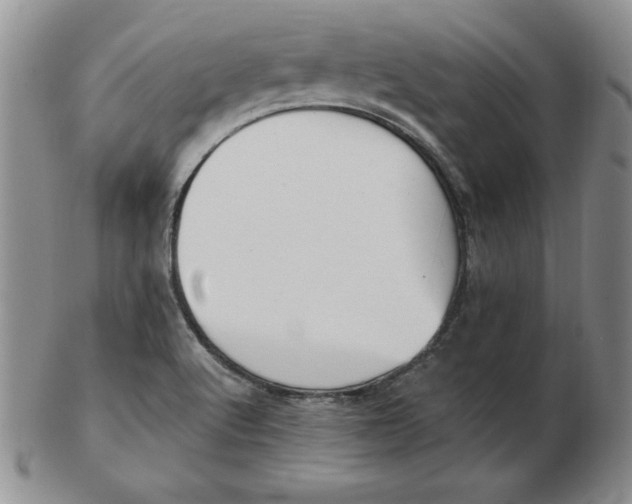 X0000102871512200809081154