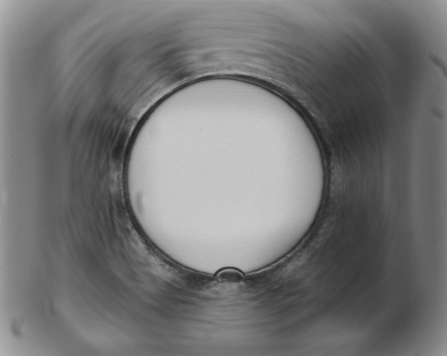 X0000102871513200809081154