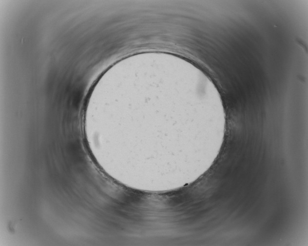 X0000102871514200809081154