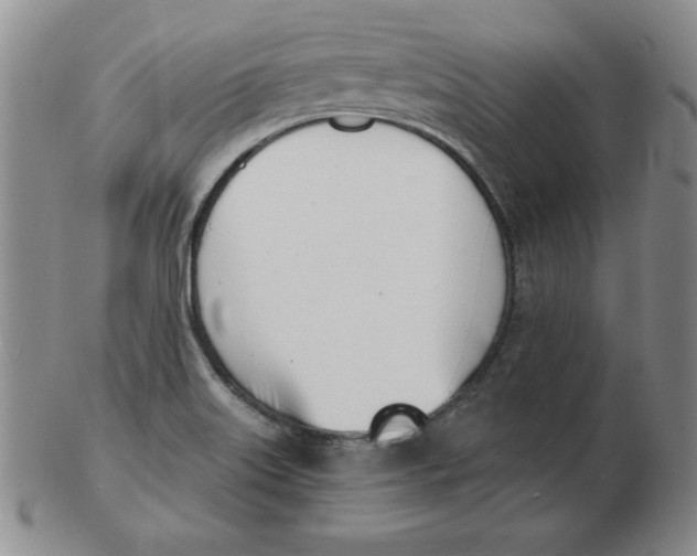 X0000102871515200809081154