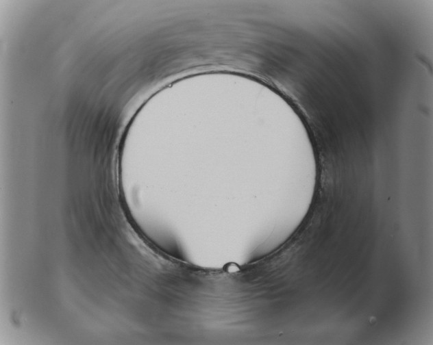 X0000102871516200809081154