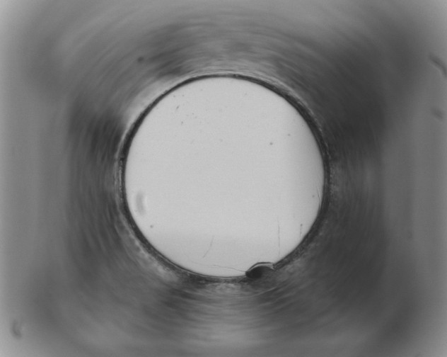 X0000102871517200809081154