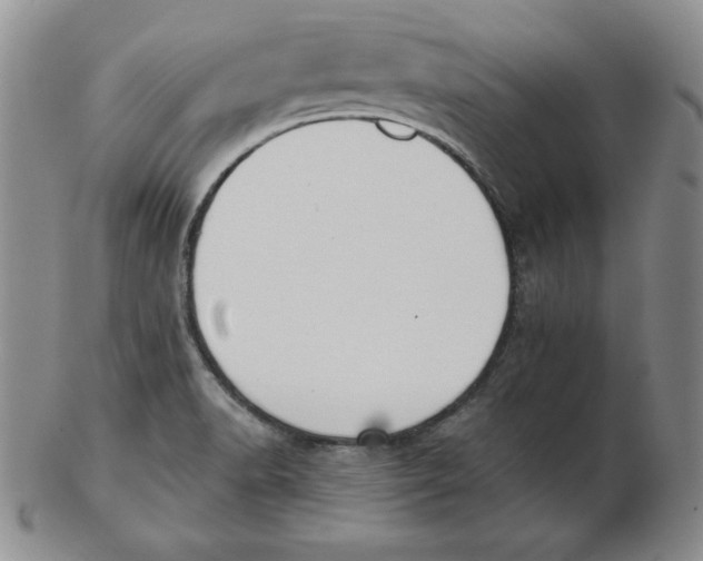 X0000102871518200809081154