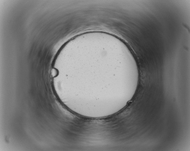 X0000102871519200809081154