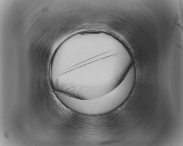 X0000102871520200809081154