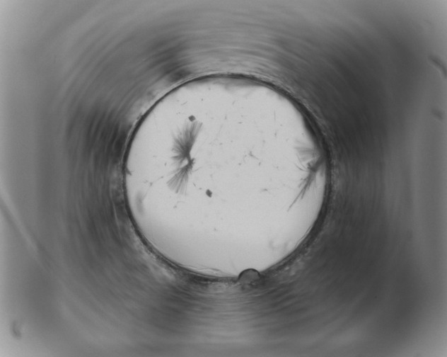 X0000102871521200809081154