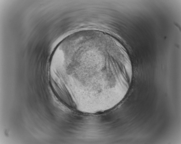 X0000102871522200809081154