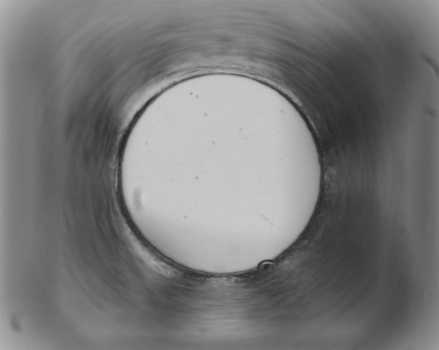 X0000102871523200809081154