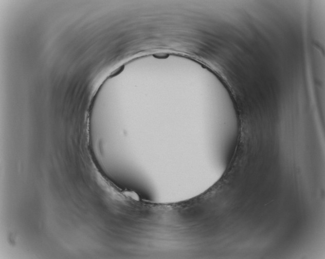 X0000102871524200809081154