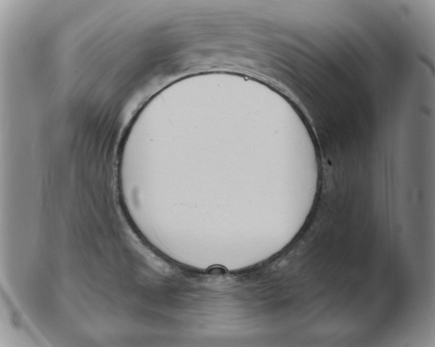 X0000102871525200809081154