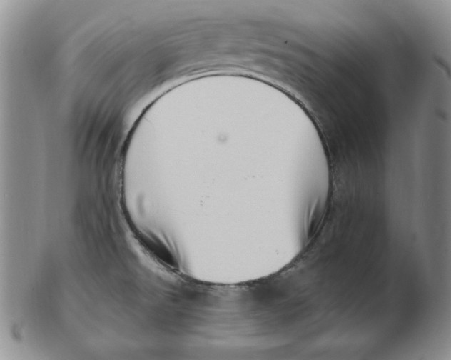 X0000102871526200809081154