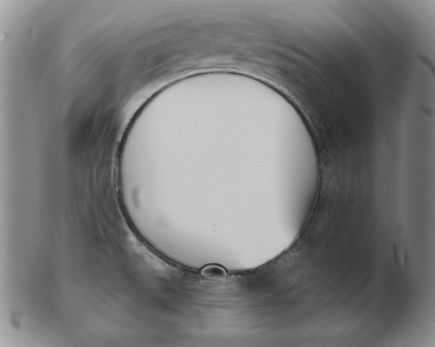 X0000102871527200809081154