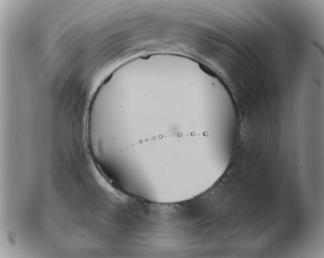 X0000102871528200809081154