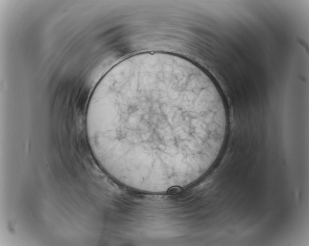 X0000102871529200809081154