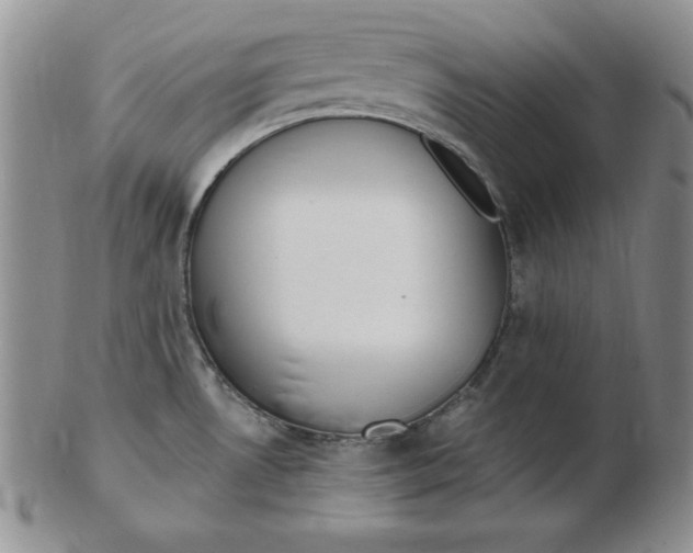 X0000102871530200809081154