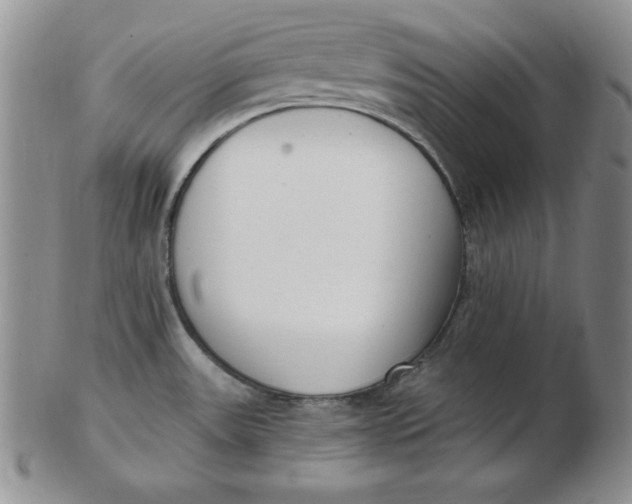 X0000102871531200809081154