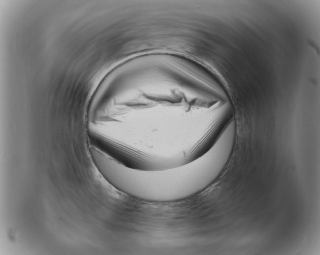 X0000102871532200809081154