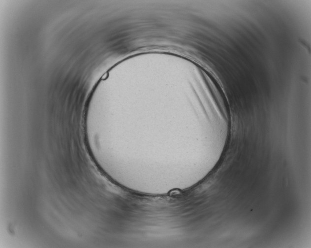 X0000102871533200809081154