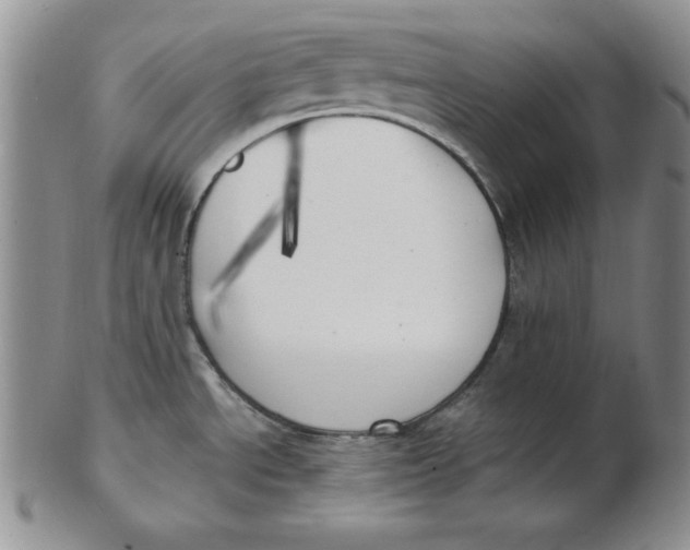 X0000102871534200809081154