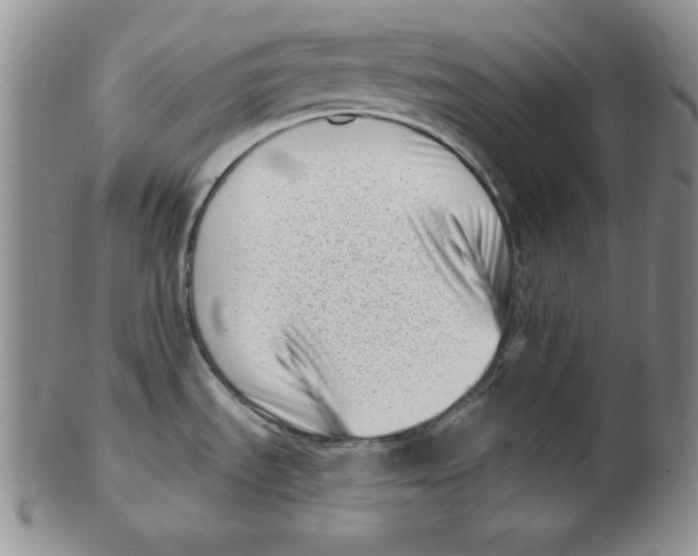 X0000102871535200809081154