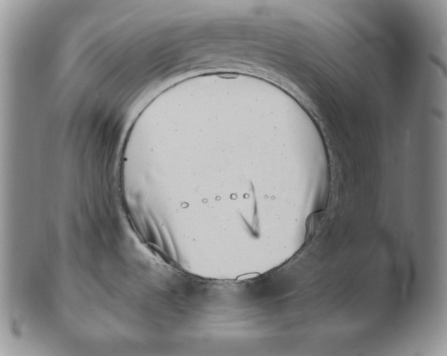 X0000102871536200809081154