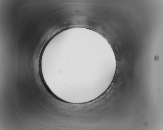 X0000102870002200809151246