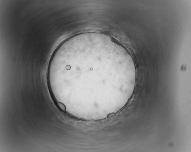 X0000102870003200809151246