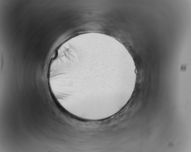 X0000102870004200809151246