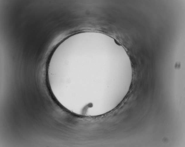 X0000102870005200809151246