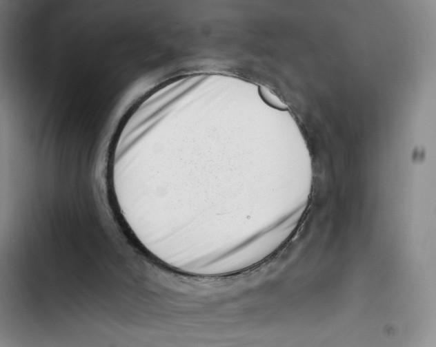 X0000102870006200809151246
