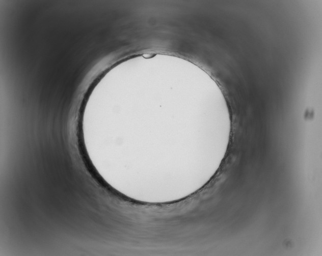 X0000102870007200809151246