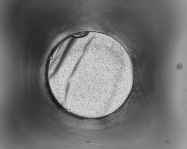 X0000102870008200809151246