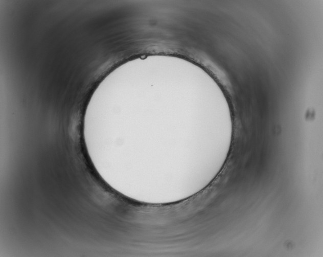 X0000102870009200809151246