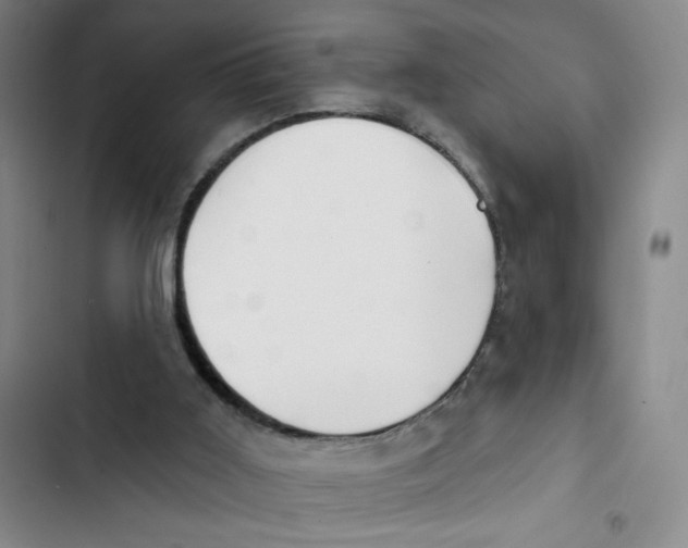 X0000102870011200809151246