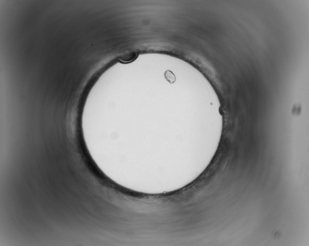 X0000102870012200809151246