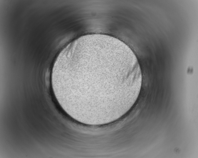 X0000102870014200809151246