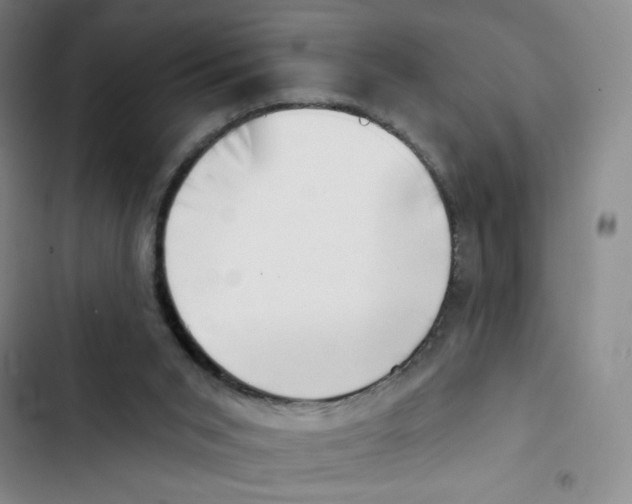 X0000102870015200809151246