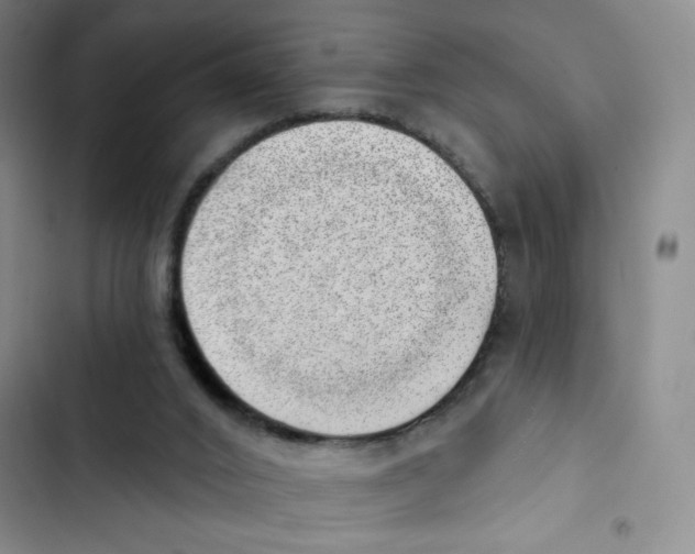 X0000102870016200809151246