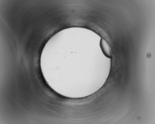 X0000102870017200809151246