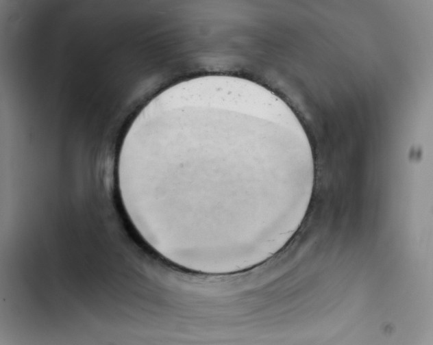 X0000102870019200809151246