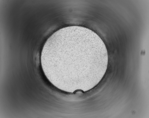 X0000102870020200809151246