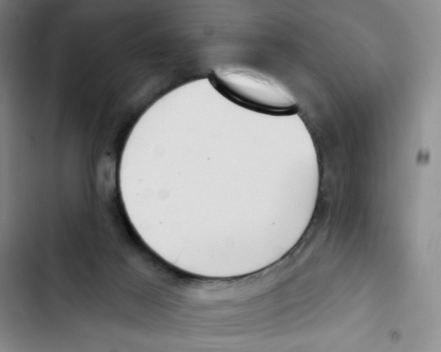 X0000102870021200809151246