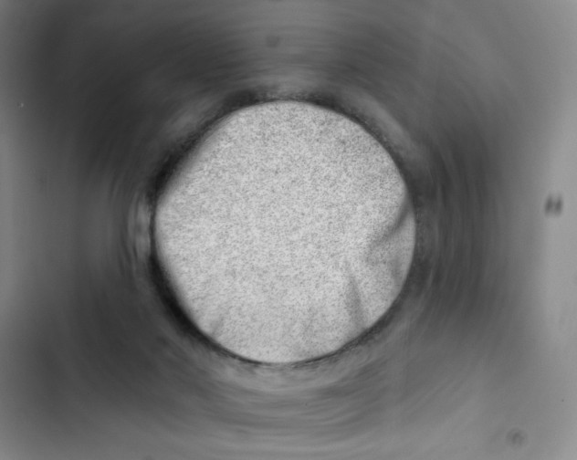 X0000102870022200809151246
