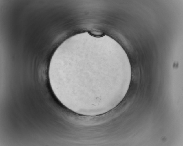 X0000102870023200809151246
