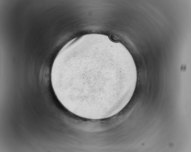 X0000102870024200809151246