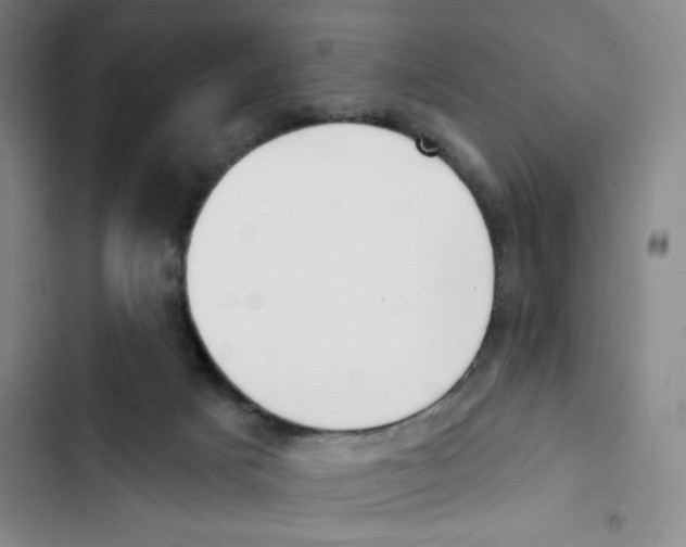 X0000102870025200809151246