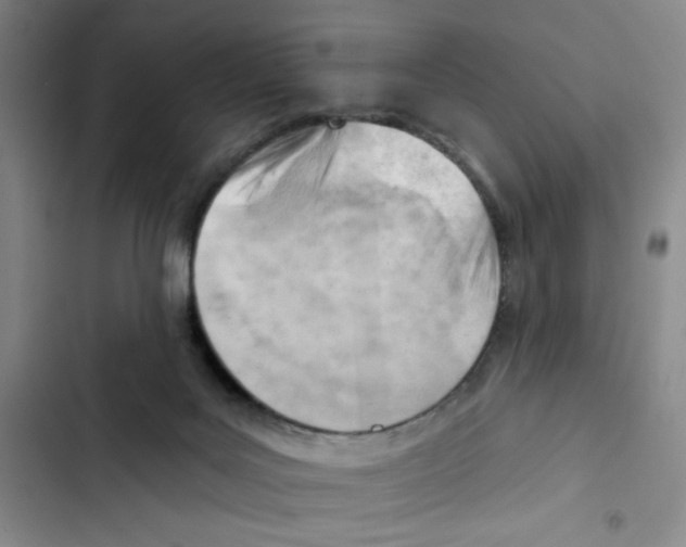 X0000102870027200809151246