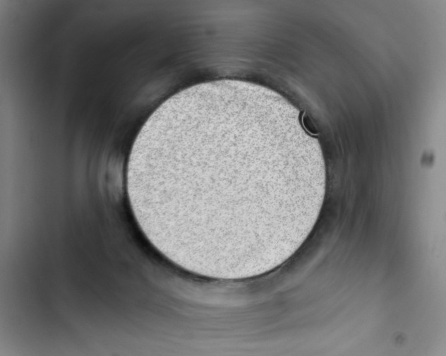 X0000102870028200809151246