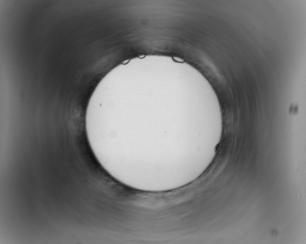 X0000102870029200809151246