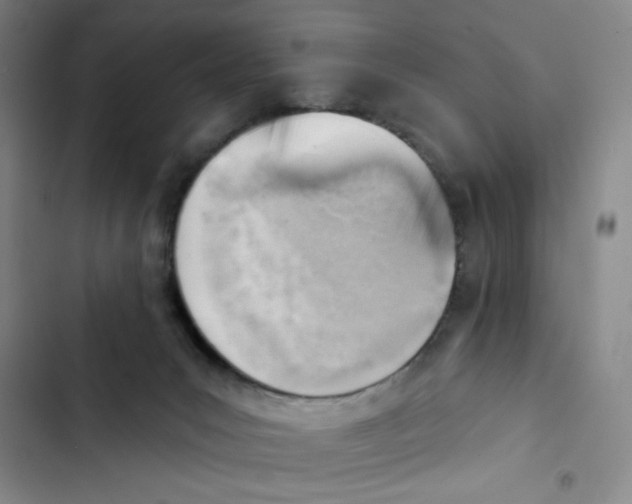 X0000102870031200809151246